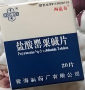 血管的“缓解大师”——认识盐酸罂粟